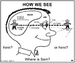 How We See